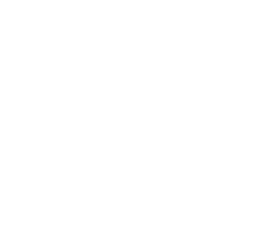 GameForce logo in white